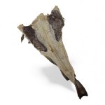 B.CRESCIDO NORUEGA